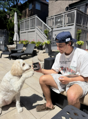 Do Dogs Actually Need Supplements? What Pet Parents Should Know Before Buying Anything