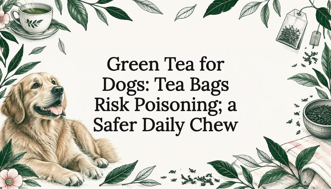 Healthy dog framed by green tea sketches