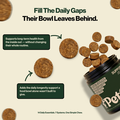 Healthy Aging Chews