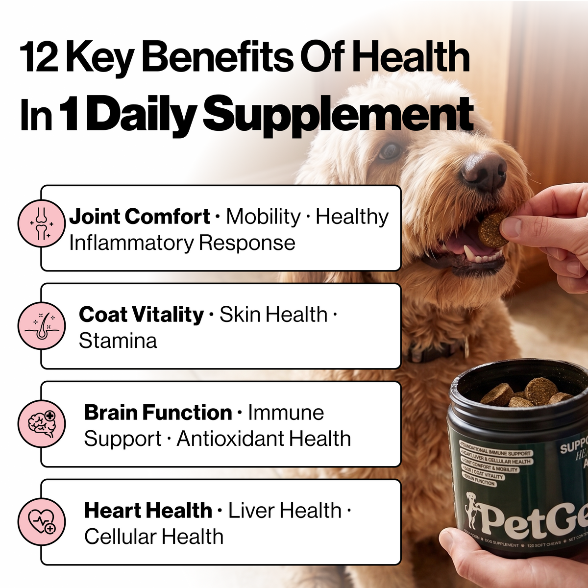 PetGev Longevity Chews