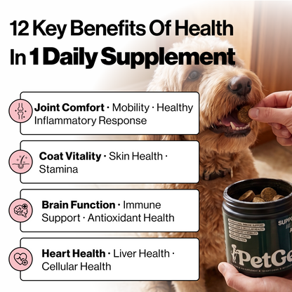 PetGev Longevity Chews