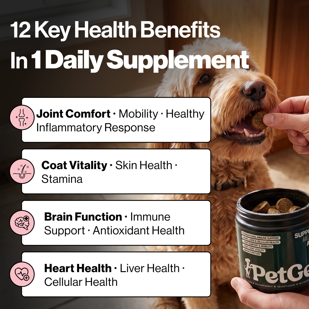 PetGev Longevity Chews
