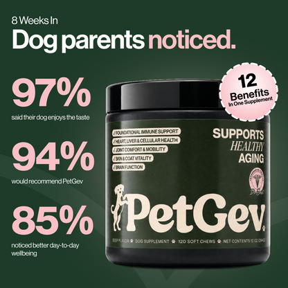 PetGev Longevity Chews