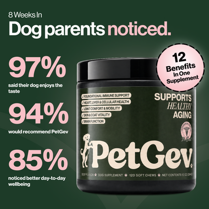 PetGev Longevity Chews