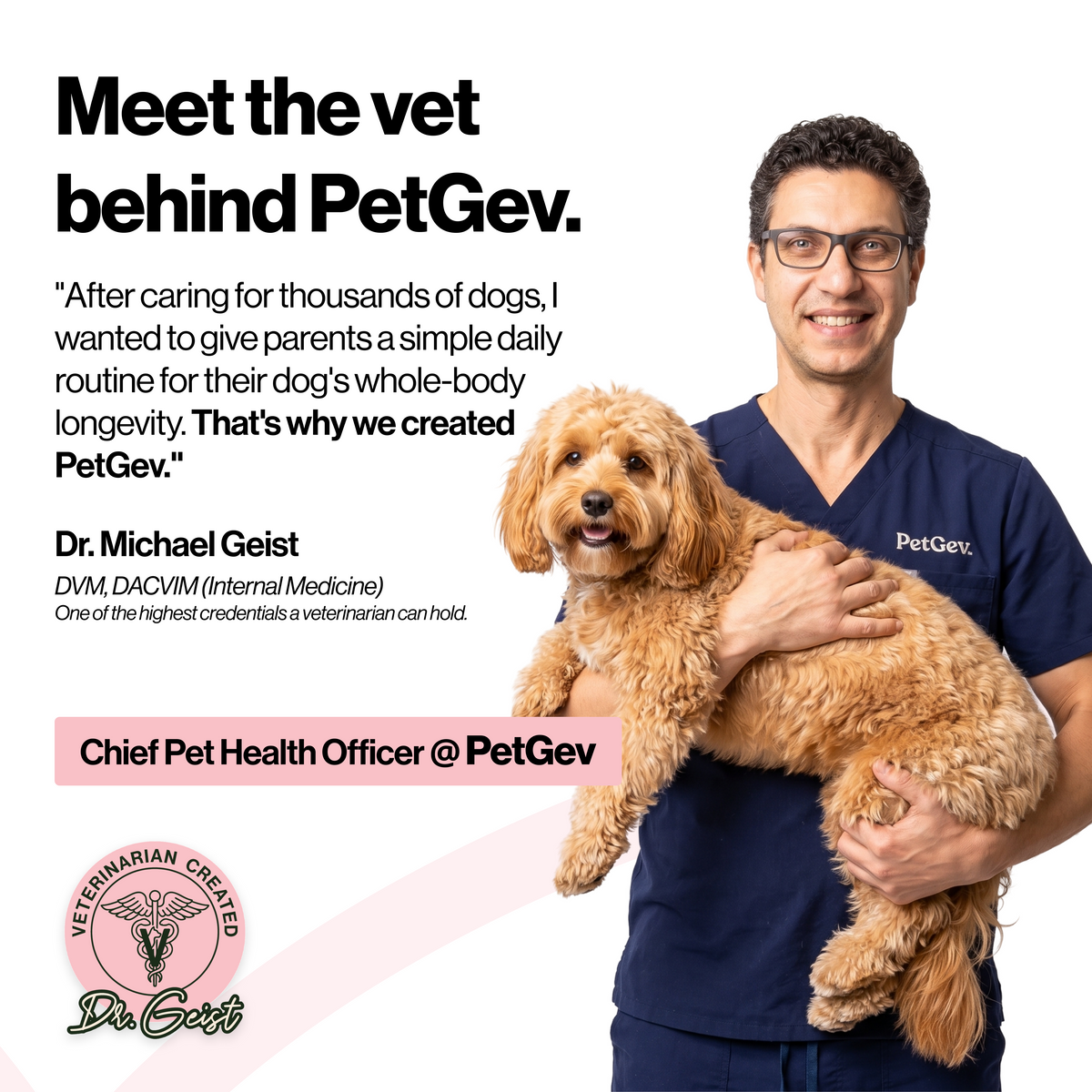 PetGev Longevity Chews