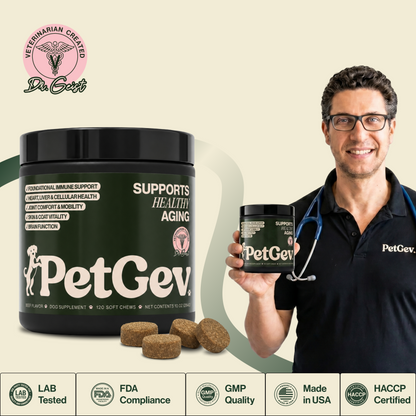 Healthy Aging Chews