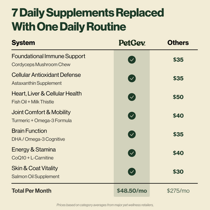 Healthy Aging Chews