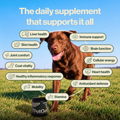 PetGev Longevity Chews