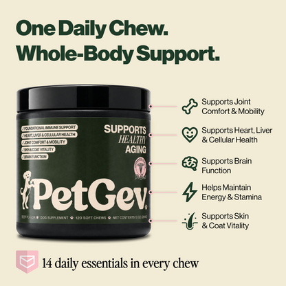 Healthy Aging Chews