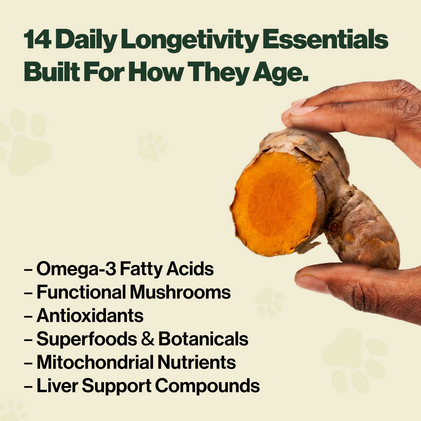 Healthy Aging Chews