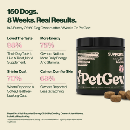 Healthy Aging Chews