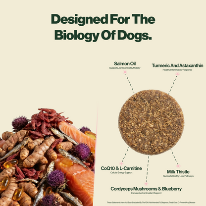 Healthy Aging Chews