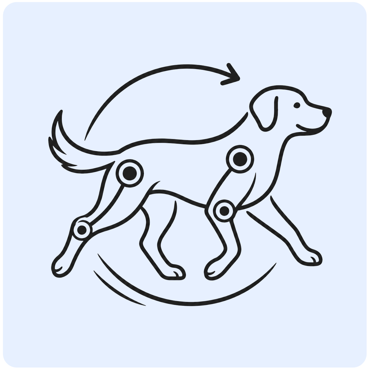 Joint Comfort & Mobility