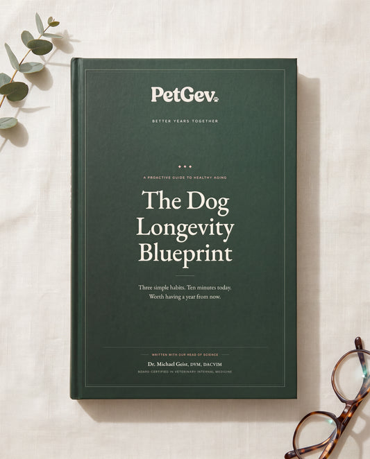 Dog Longevity Blueprint
