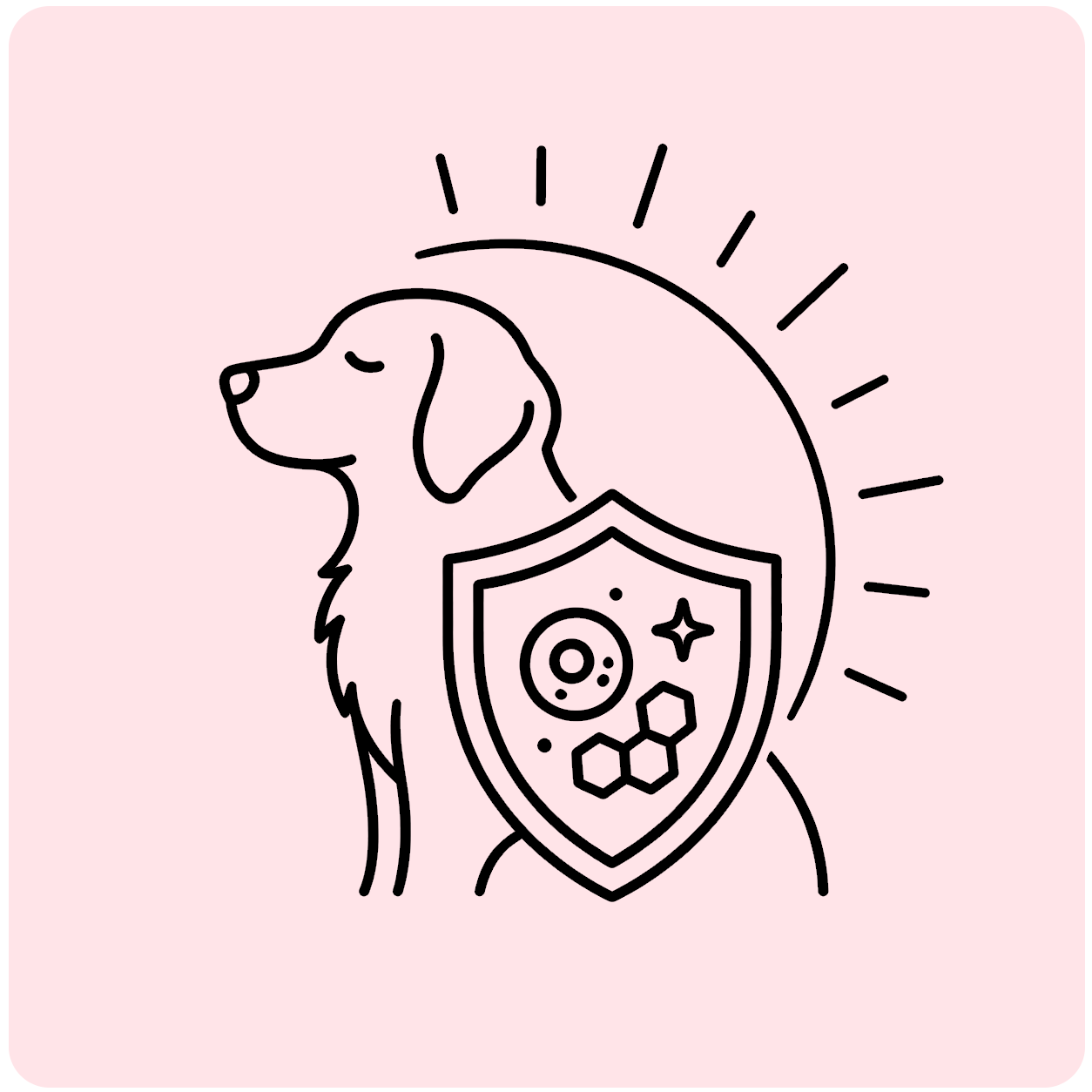 Resilient Immune & Cellular Defense