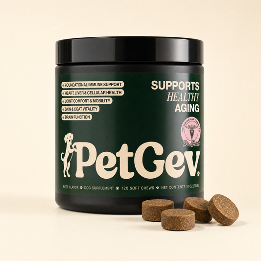 Healthy Aging Chews