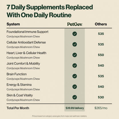 Healthy Aging Chews
